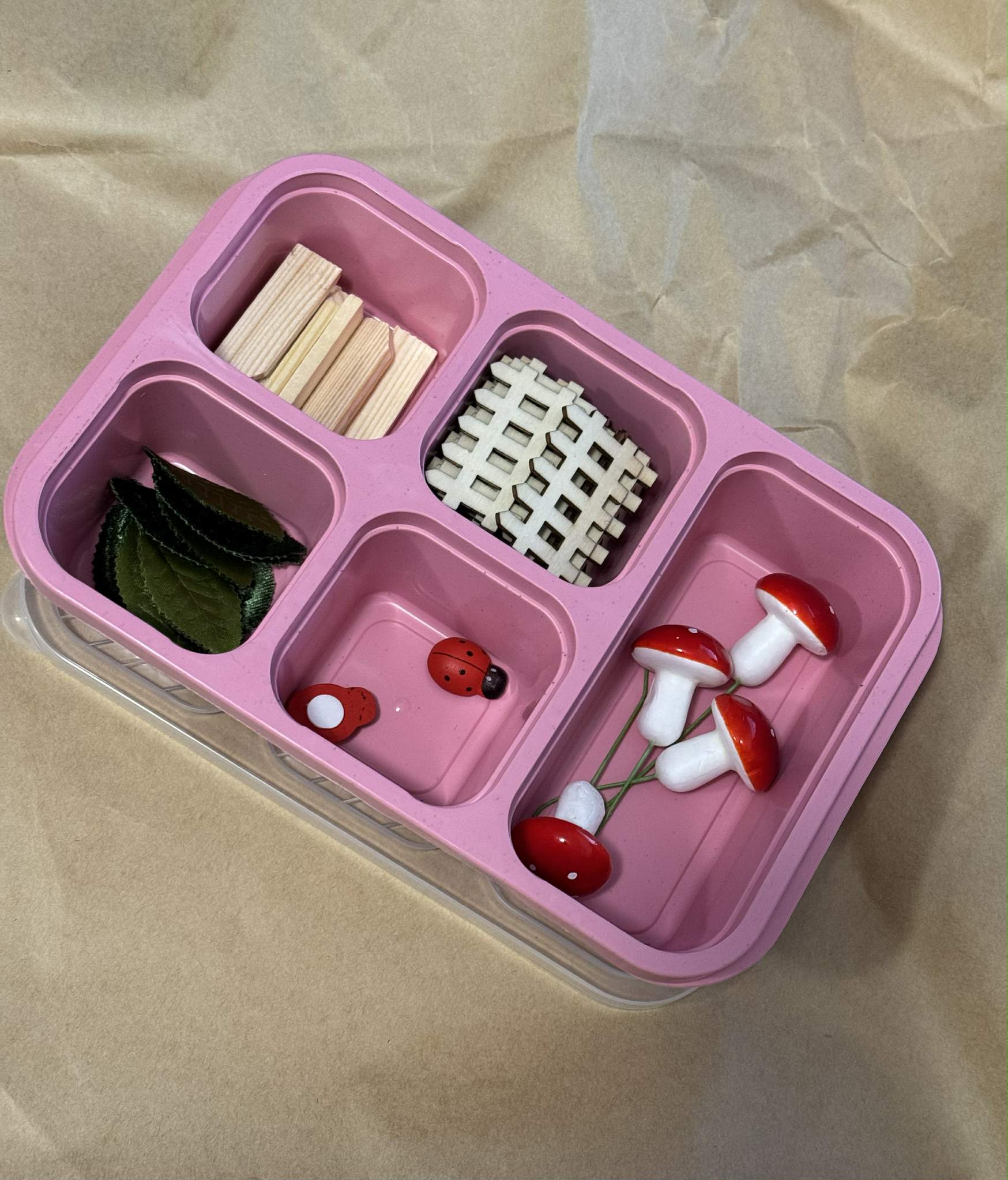 Pre Order | Bento Box - Expected Arriving October