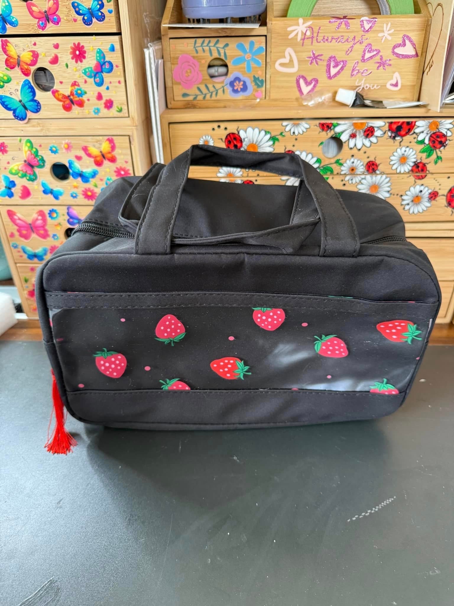 Pre Order | Lunch Bag  - Expected Arrival October